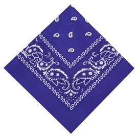 Aomig Bandana Head Scarf for Men and Women, Stylish Cowboy Headband Handkerchief, Multi-purpose Hair Scarf Paisley Print Unisex Headwraps, Bib Party Face Covering Headwear for Motorcycling(Royal Blue)