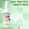Dentaclean for Dogs & Cat, Advanced Dental Spray, No Brushing,