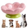 DIF DECO Ceramic Raised Cat Bowl, Pink Elevated Cat Food
