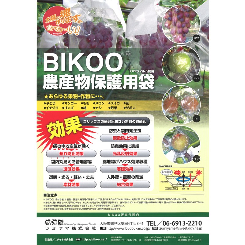BIKOO - L Double Bag (with umbrella) 9.8 x 13.8