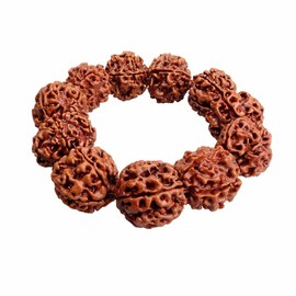zalati Rudraksha Bracelet 20mm/ 0.8inch Beads for Tibet Buddhism Amulet Pray Charms