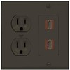 RiteAV HDMI Wall Plate 2 Port - Round Outlet [Brown/Brown]