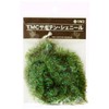 ティムコ(TIEMCO) TMC サボテンシェニール 01 ピーコックオリーブ