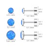 Gold/Silver/Opal Stud Earring for Women - Gold Plated Earrings -