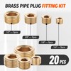 Ailbiuko 20 PCS Brass Pipe Plug 1/8" 1/4" 3/8" 1/2"