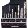 Norseman Bolt, Screw, and Pipe Remover Set Super Premium Black