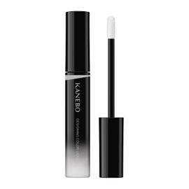 Kanebo Designing Color Liquid, 05 [Concealer]