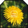 Dandelion Tea 200 g - Dried Dandelion Tea - Cut