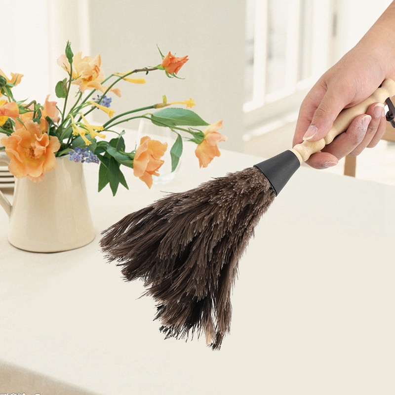 Mini Washable Reusable Ostrich Feather Duster for Books Keyboard Office