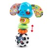VTech VTech Baby Rattle and Sing Puppy