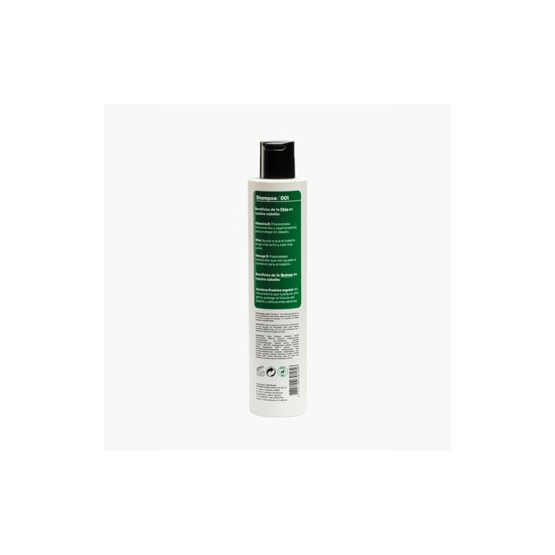 Shampoo 001 Cabello Rizado Frizz 250 ml