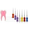 TEPTOARCH 6pcs/Box 21/25mm Bendable NiTi Hand Use Super Rotary Files