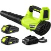 Lightweight Cordless Leaf Blower - 2 Batteries & Charger Included-