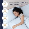 Ashton Sheets 100% Egyptian Cotton Pillow Cases Standard/Queen Size Set