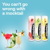 ChapStick Summer Vibes Collection – Tropical Paradise, Mocktail, and I