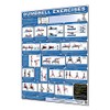 Productive Fitness CDLP Dumbbell Core44; Back44; Chest and Lower Body