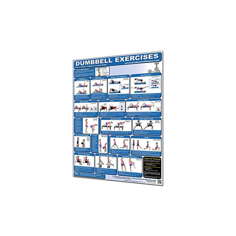 Productive Fitness CDLP Dumbbell Core44; Back44; Chest and Lower Body