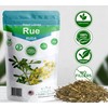 RUE Dried Herbs ( 4 oz) -Peruvian Ruda, Ruda Seca,