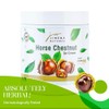 Horse Chestnut Gel Cream 500ml / 17 Oz