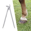 Horse Clincher High Strength Steel Rust Resistant Wear Resistant Hoof