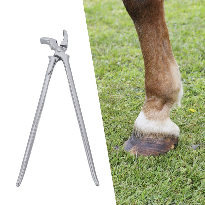 Horse Clincher High Strength Steel Rust Resistant Wear Resistant Hoof