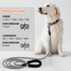 Dog Lead, 1.2 m, 1.5 m, 2 m, 3 m,