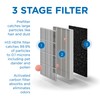 Medify MA-25 Genuine Replacement Filter Set for Allergens, Smoke, Wildfires,
