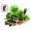Ascorbate, Vitamin C Mild Buffered, Natural Antioxidant E301. 100% Pure.