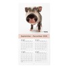 THE PIG 2026 Wall Calendar Mini Size (Pig)