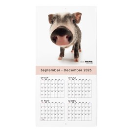 THE PIG 2026 Wall Calendar Mini Size (Pig)