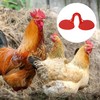 50PCS Pack PinlessEye Glasses Pheasant Poultry Blinders Spectacles Anti Pecking