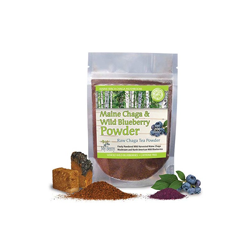 Maine Chaga & Wild Blueberry Tea Powder - Herbal Superfood