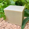 Savion Body Soap, Aloe Vera Plus, 160 g