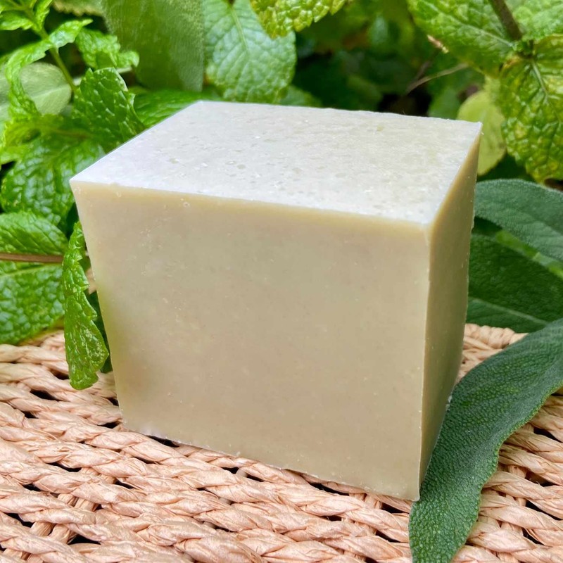 Savion Body Soap, Aloe Vera Plus, 160 g