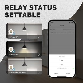 Tuya WiFi Intelligent Switch Dimmer DIY Module Light Switch Mobilephone APP Remotely Control Activate Home Devices Compatible with Alexa and  Assistant for Voice Control