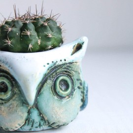 Small Flower Pots for Succulents 1.5-2.4 in - Green Ceramic Owl Mini Pots for Potted Succulent and Cactus Planters Indoor room decor- Cute Planter Animal Shape with drain
