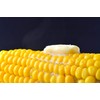 "Top Hat" OP Sugary Enhanced Hybrid Yellow Corn Seeds, 25