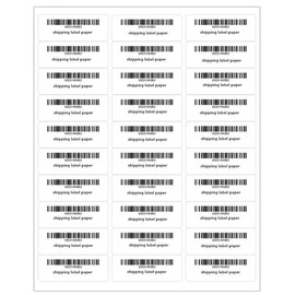 Barcode Stickers FBA 30-Up Shipping Label for Laser and Inkjet Printer 100 Sheets, 1 x 2 5/8 (Inkjet Printer)