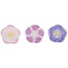 (Pack of 3) Kaze Guruma Morning Glory | Kaze guru
