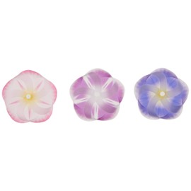 (Pack of 3) Kaze Guruma Morning Glory | Kaze guru ma Magnet DA-1180-A1