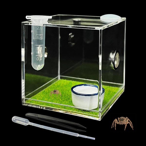 GKPONSX Acrylic Jumping Spider Enclosure, Spider Terrarium Accessories with B...