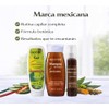 GOOSE Kit Anticaída Botánico – Shampoo + Gel Capilar +