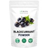 Blackcurrant Powder - Pure All Natural Whole Powder for Baking,