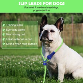 Slip Lead Dog Leash 5.9Ft Lightweight Dog Training Slip Leads No Pull Pet Leash 8 Colors Classic Puppy Rope