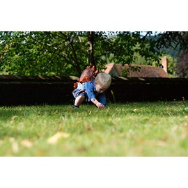 LittleLife LittleLife Animal Toddler Backpack With Safety Rein, Spike The Dinosaur