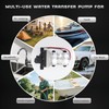12V RV Water Pump 4008-101-A65/E65 | 3.0 GPM - 55