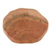 Captain Stag UP-2600 Wooden Tableware Coaster Wood Log Coaster Woodbreath