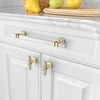 Amerdeco 10 Pack Brushed Satin Nickel and Gold Cabinet Pulls