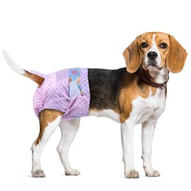 Flying Paws Disposable Female Dog Diapers, Puppy Diapers with Adjustable Elastic Waistline for Female Dog or Cat in Heat, Incontinence, Diaper with Wetness Indicator, S-40 Count