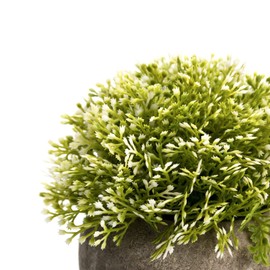 Velener Mini Plastic Artificial Plants in Pots for Home Decor (White, Green)